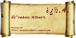 Énekes Albert névjegykártya